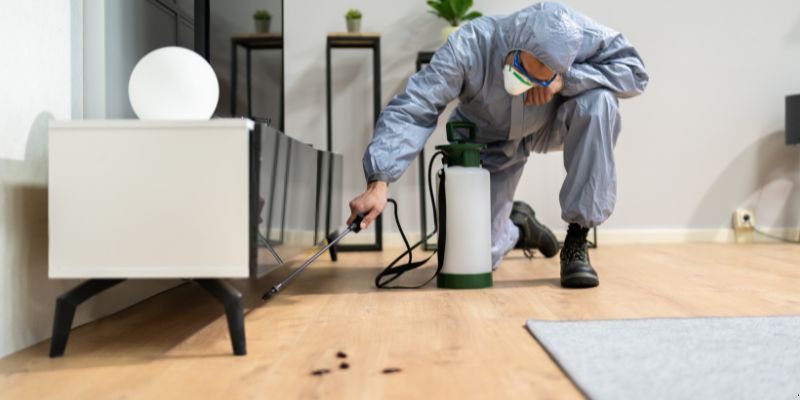 Quanto tempo dura uma dedetização em São Luís?